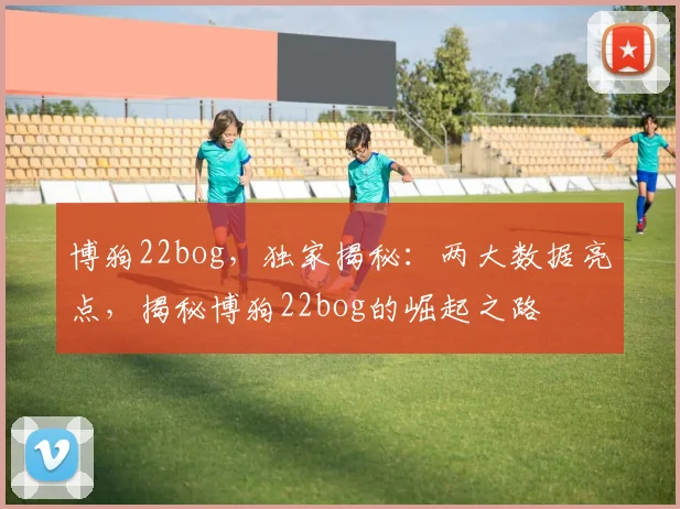 博狗22bog，独家揭秘：两大数据亮点，揭秘博狗22bog的崛起之路