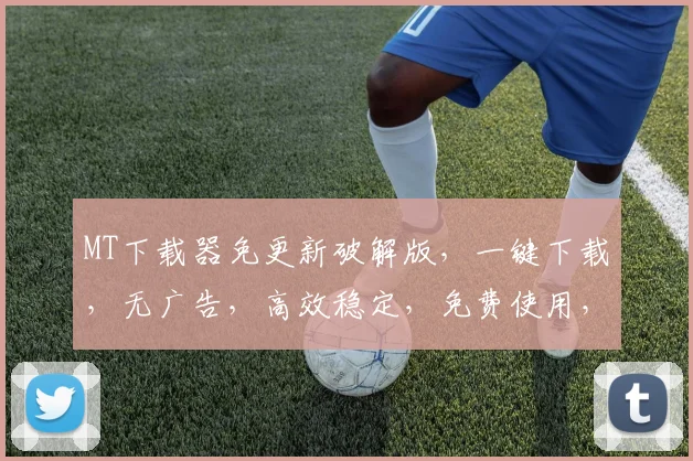 MT下载器免更新破解版，一键下载，无广告，高效稳定，免费使用，体验畅快